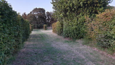 Jardin